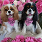 Parisian Pet 'Pretty Girl' Bandana - Fashionable, Comfortable Pink Pet Bandana for Dogs & Cats, Trendy Pet Fashion Accessory