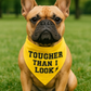 Parisian Pet 'Tougher Than I Look' Bandana - Comfortable, Stylish Yellow Dog & Cat Bandana, Trendy Design