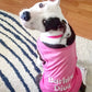 Parisian Pet 'Barking Diva' Dog Shirt – Cute Slogan Pet T-Shirt for Dogs & Cats, Pink