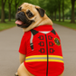 Parisian Pet 'Fire-Barker' Halloween Costume for Dogs & Cats – Firefighter Dog Costume, Pet Halloween Outfit, Red and Yellow