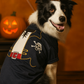 Parisian Pet 'Captain Spawrrow' Halloween Costume for Dogs & Cats – Fun Pirate Dog Costume, Pet Halloween Outfit, Red and Navy
