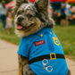 Parisian Pet 'Officer Woof' Halloween Costume for Dogs & Cats – Police Dog Costume, Pet Officer Outfit for Halloween, Light Blue