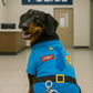Parisian Pet 'Officer Woof' Halloween Costume for Dogs & Cats – Police Dog Costume, Pet Officer Outfit for Halloween, Light Blue