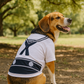 Parisian Pet 'Sailor Dog' Halloween Costume - Navy Blue Sailor Outfit for Dogs & Cats