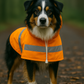 Parisian Pet 'Orange Raincoat' for Dogs & Cats, Waterproof Pet Outerwear, Dog Raincoat for Rain, Pet Rain Protection, Orange