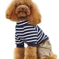 Dobaz 'Striped Dog Pants' for Dogs & Cats - Fashionable and Warm Cold Weather Pet Clothing, Cozy Corduroy Pants for Small Breeds, Navy Blue  Striped