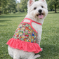 Dobaz 'Creative Design Dress' for Dogs & Cats - Artistic and Comfortable Pet Clothing, Ideal Fancy Outfit for Small Breeds and Events, Pink