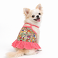 Dobaz 'Creative Design Dress' for Dogs & Cats - Artistic and Comfortable Pet Clothing, Ideal Fancy Outfit for Small Breeds and Events, Pink