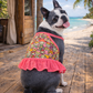 Dobaz 'Creative Design Dress' for Dogs & Cats - Artistic and Comfortable Pet Clothing, Ideal Fancy Outfit for Small Breeds and Events, Pink