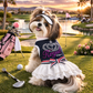 Dobaz 'Royal Crown Dress' for Dogs & Cats - Elegant and Fancy Pet Outfit, Luxury Crown Design Clothing for Small Breeds, Navy