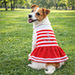 Dobaz 'Anchor Bling Dog Dress' for Dogs & Cats - Fashionable and Fancy Summer Apparel, Perfect Nautical Pet Clothing for Small Breeds, Red & White Stripes