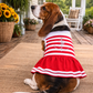 Dobaz 'Anchor Bling Dog Dress' for Dogs & Cats - Fashionable and Fancy Summer Apparel, Perfect Nautical Pet Clothing for Small Breeds, Red & White Stripes