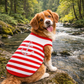 Dobaz 'Anchor Dog Tank Top' for Dogs & Cats - Fashionable and Lightweight Summer Apparel, Perfect Nautical Pet Clothing for Small Breeds, Red & White Stripes