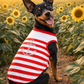 Dobaz 'Anchor Dog Tank Top' for Dogs & Cats - Fashionable and Lightweight Summer Apparel, Perfect Nautical Pet Clothing for Small Breeds, Red & White Stripes