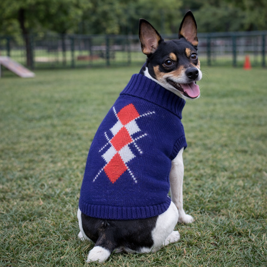 Dobaz 'Argyle Sweater' for Dogs & Cats – Warm and Comfortable Navy and Red Argyle Dog Sweater, Ideal for Winter Weather, Cozy Knit Sweater for Small to Medium Pets