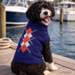 Dobaz 'Argyle Sweater' for Dogs & Cats – Warm and Comfortable Navy and Red Argyle Dog Sweater, Ideal for Winter Weather, Cozy Knit Sweater for Small to Medium Pets