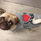 Parisian Pet 'I Love Daddy®' Lightweight Pet T-Shirt – Stylish Dog Clothing for Small Dogs & Cats, Gray