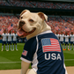 Parisian Pet 'Team USA' Dog & Cat Shirt – Embroidered USA Jersey, Perfect for Sports and Vacations – Red, White, and Blue