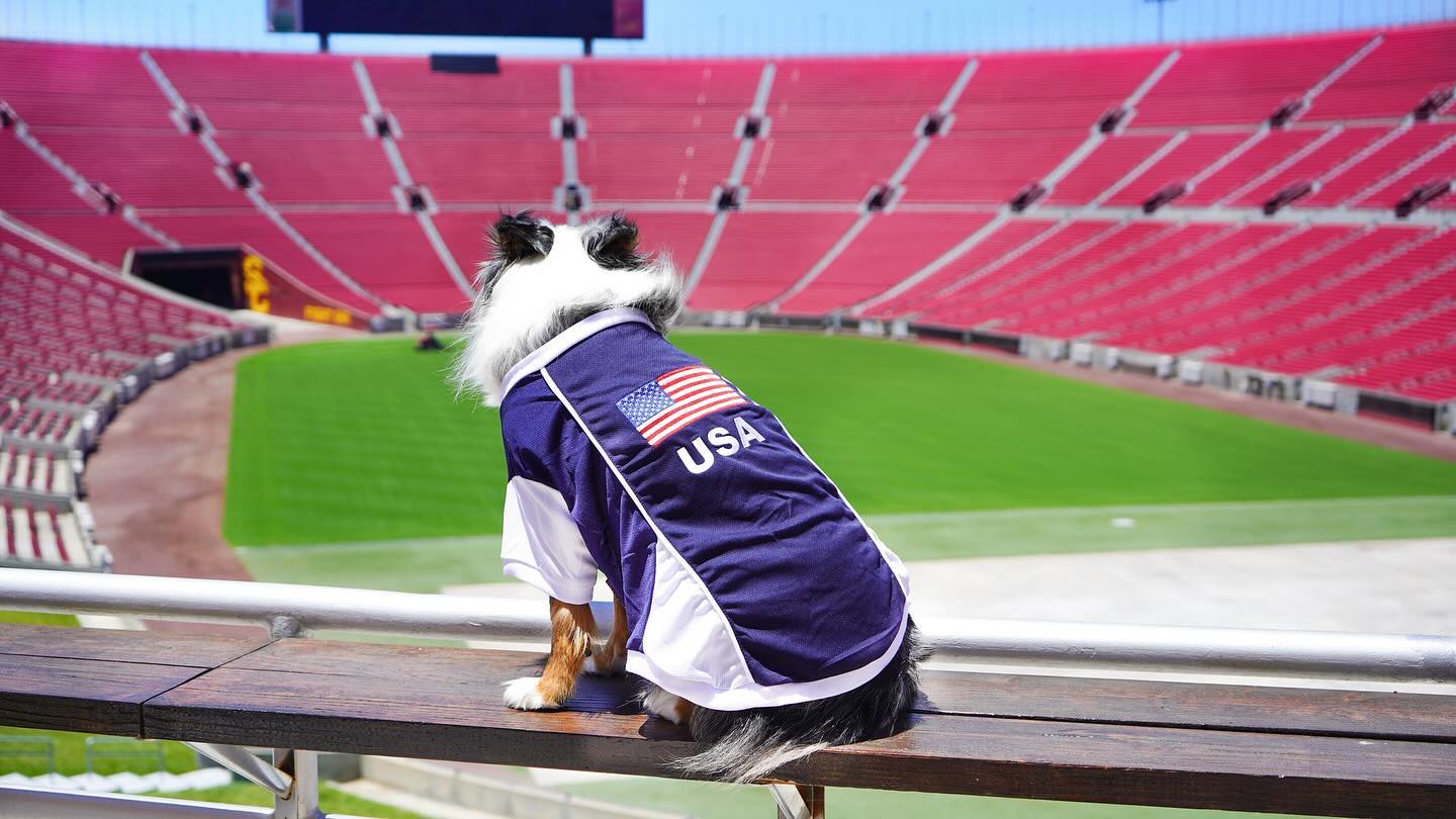 Parisian Pet 'Team USA' Dog & Cat Shirt – Embroidered USA Jersey, Perfect for Sports and Vacations – Red, White, and Blue