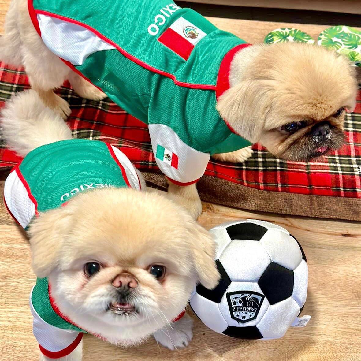 Parisian Pet 'Team Mexico' Dog & Cat T-Shirt – Patriotic Dog Shirt, Perfect for Soccer Fans – Red, White, Green
