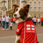 Parisian Pet 'Team England' Jersey for Dogs & Cats – England Flag-Inspired Pet Outfit, Soccer Fan Apparel for Dogs & Cats, White and Red