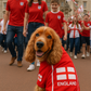 Parisian Pet 'Team England' Jersey for Dogs & Cats – England Flag-Inspired Pet Outfit, Soccer Fan Apparel for Dogs & Cats, White and Red