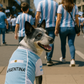 Parisian Pet 'Team Argentina' Jersey for Dogs & Cats – Perfect Soccer Fan Apparel, Blue and White