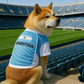 Parisian Pet 'Team Argentina' Jersey for Dogs & Cats – Perfect Soccer Fan Apparel, Blue and White