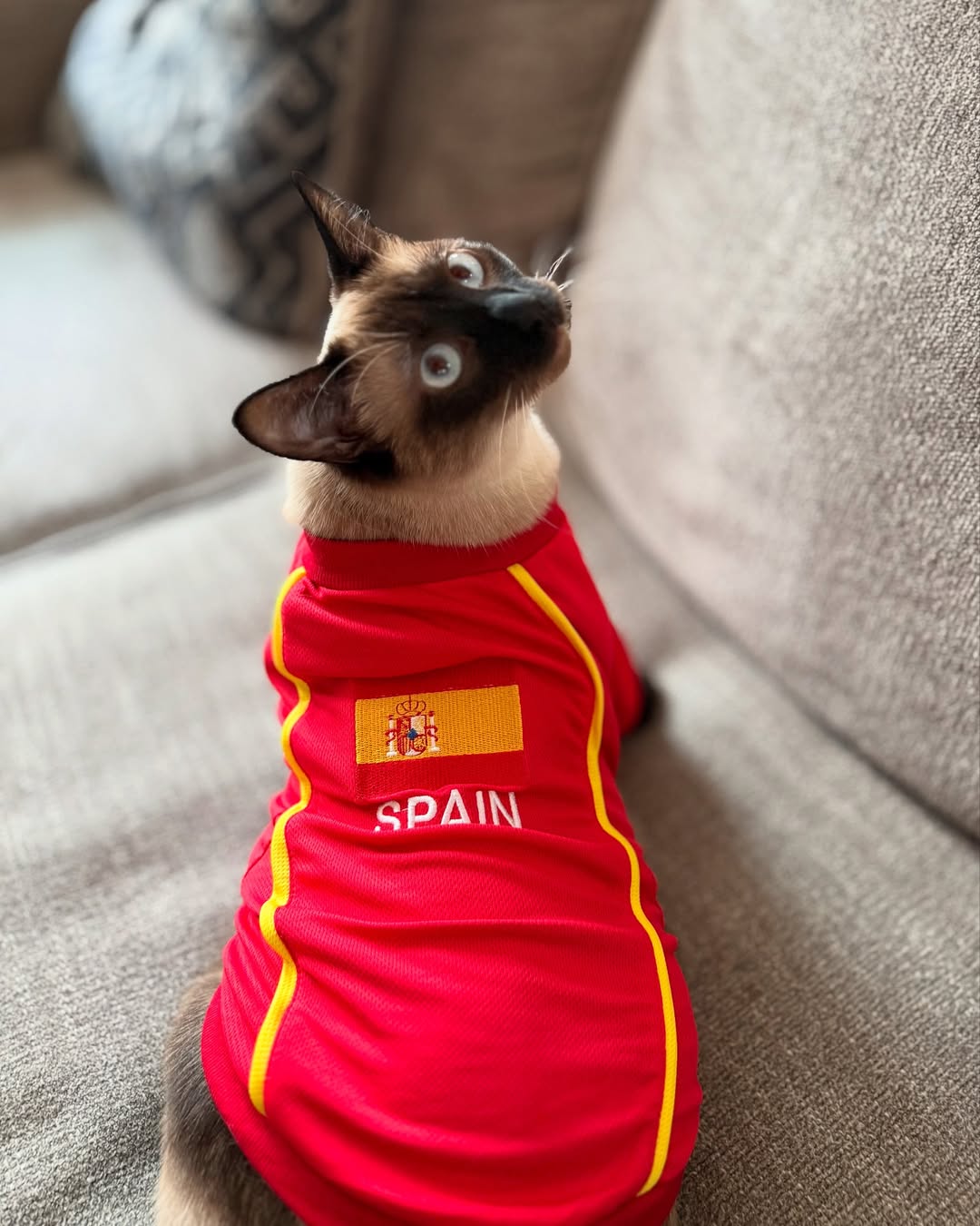 Parisian Pet 'Team Spain' Jersey for Dogs & Cats – Spain Flag-Inspired Pet Outfit, Soccer Fan Apparel for Dogs & Cats, Red and Yellow Stripes