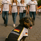 Parisian Pet 'Team Germany' - Jersey, Dog Sports Jersey for Soccer Fans, Germany Flag Dog Shirt for Dogs & Cats, Black