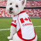 Parisian Pet 'Team Canada' Jersey for Dogs & Cats – Canada Flag-Inspired Pet Outfit, Soccer Fan Apparel for Dogs & Cats, Red and White Design