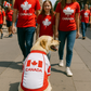 Parisian Pet 'Team Canada' Jersey for Dogs & Cats – Canada Flag-Inspired Pet Outfit, Soccer Fan Apparel for Dogs & Cats, Red and White Design