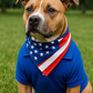 Parisian Pet 'Polo' Dog & Cat T-Shirt – Trendy Cotton Polo, Comfortable & Lightweight – Blue