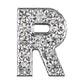 Parisian Pet '10 mm Slide Letters A-Z (10 pk)' for Dogs & Cats – Customizable & Fun Pet Accessory, Clear