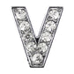 Parisian Pet '10 mm Slide Letters A-Z (10 pk)' for Dogs & Cats – Customizable & Fun Pet Accessory, Clear