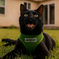Parisian Pet 'Freedom Harness Green' for Dogs & Cats – Customizable Green Pet Harness, Soft and Durable Dog Harness for Walking