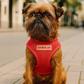 Parisian Pet 'Freedom Harness' for Dogs & Cats – Adjustable, Comfortable Red Dog Harness, Durable Design