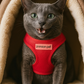 Parisian Pet 'Freedom Harness' for Dogs & Cats – Adjustable, Comfortable Red Dog Harness, Durable Design