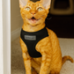 Parisian Pet 'Freedom Harness Black' for Dogs & Cats – Adjustable, Durable, Comfortable Black Dog Harness
