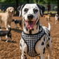 Parisian Pet 'Freedom Harness Black Houndstooth' for Dogs & Cats – Durable Adjustable Houndstooth Design Pet Harness, Black