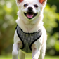 Parisian Pet 'Freedom Harness Black Houndstooth' for Dogs & Cats – Durable Adjustable Houndstooth Design Pet Harness, Black