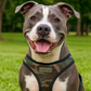 Parisian Pet 'Freedom Harness Camo' for Dogs & Cats – Customizable, Comfortable Camo Dog Harness