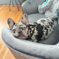Parisian Pet 'Freedom Harness Leopard' for Dogs & Cats – Comfortable, Durable Adjustable Leopard Print Pet Harness
