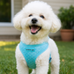 Parisian Pet 'Freedom Harness Polka Dot' for Dogs & Cats – Adjustable Blue Dog Harness, Stylish and Durable Fit