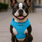 Parisian Pet 'Freedom Harness Polka Dot' for Dogs & Cats – Adjustable Blue Dog Harness, Stylish and Durable Fit