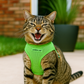 Parisian Pet 'Freedom Harness' for Dogs & Cats – Comfortable and Durable Neon Green Pet Harness-Saint Patrick's Day