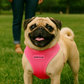 Parisian Pet 'Freedom Harness' for Dogs & Cats – Comfortable and Customizable Neon Pink Harness