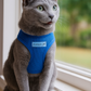 Parisian Pet 'Freedom Harness' for Dogs & Cats – Comfortable and Durable Neon Blue Pet Harness