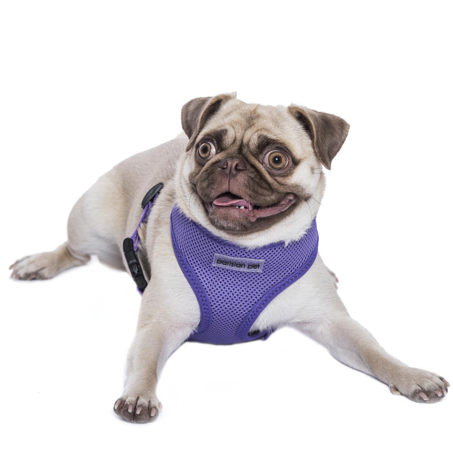Parisian Pet 'Freedom Harness Lilac' for Dogs & Cats – Comfortable and Durable Adjustable Lilac Pet Harness, Customizable Fit