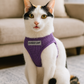 Parisian Pet 'Freedom Harness Lilac' for Dogs & Cats – Comfortable and Durable Adjustable Lilac Pet Harness, Customizable Fit